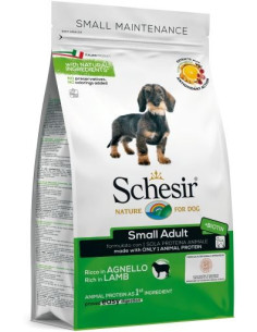 Schesir Small Presunto Manutenção (Linha Seca)