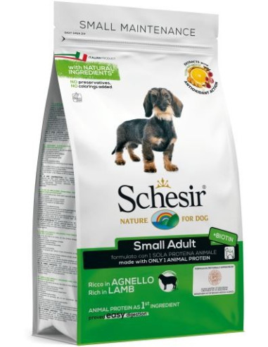 Schesir Small Presunto Manutenção (Linha Seca)
