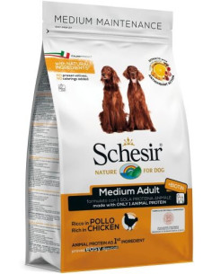Schesir Médio Frango Manutenção (Linha Seca)