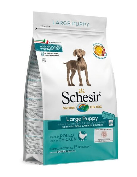 Schesir Large Puppy c/ Frango (Linha Seca)