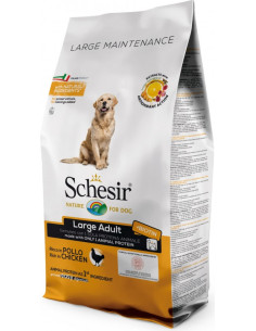 Schesir Large Frango Manutenção (Linha Seca)