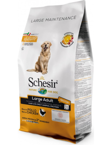 Schesir Large Frango Manutenção (Linha Seca)