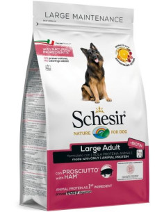 Schesir Large Presunto Manutenção (Linha Seca)