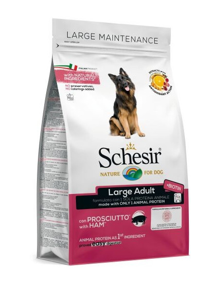 Schesir Large Presunto Manutenção (Linha Seca)