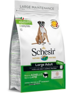 Schesir Large Borrego Manutenção (Linha Seca)