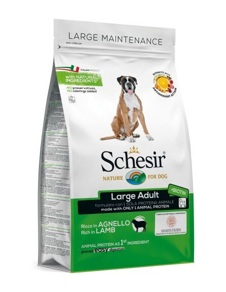 Schesir Large Borrego Manutenção (Linha Seca)