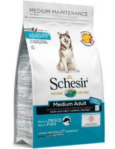 Schesir Médio Peixe Manutenção (Linha Seca)
