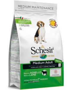 Schesir Médio Peixe Manutenção (Linha Seca)