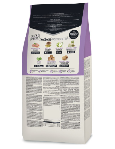 Ownat Gato Classic Sterilised