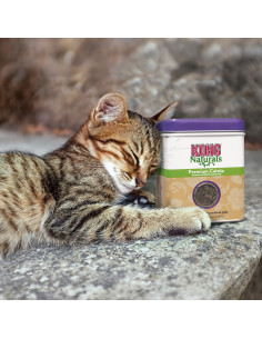 Kong Catnip erva aromática p/ Gatos 28.3 gr (CN21E) 2
