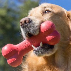 Brinquedo Kong Goodie Bone - Small + 9kg (KB31E) 2