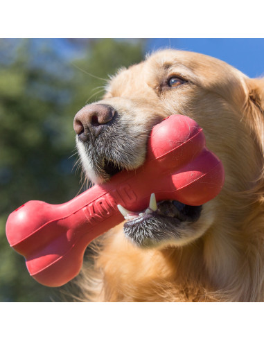 Brinquedo Kong Goodie Bone - Small + 9kg (KB31E)