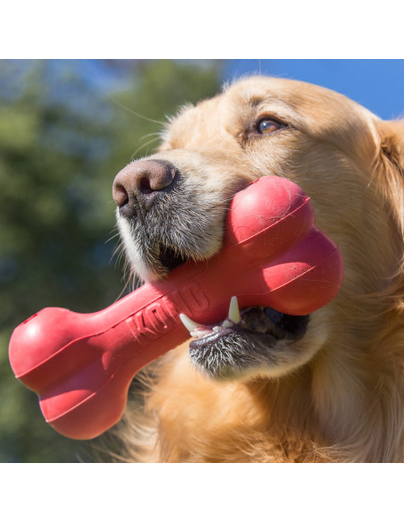 Brinquedo Kong Goodie Bone - Small + 9kg (KB31E)