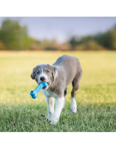 Brinquedo Kong Goodie Bone Puppy - Small + 9kg (KP31E)