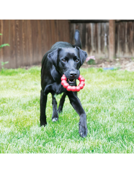 Brinquedo Kong Goodie Bone -  Large - dos 13 aos 30kg (10014E)