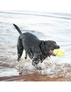 Brinquedo Kong AirDog squeaker Bola de Football c/ som - tamanho L (ASFB3E) 2