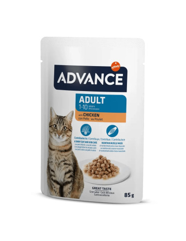 Advance Gato Húmidos Adulto com Frango
