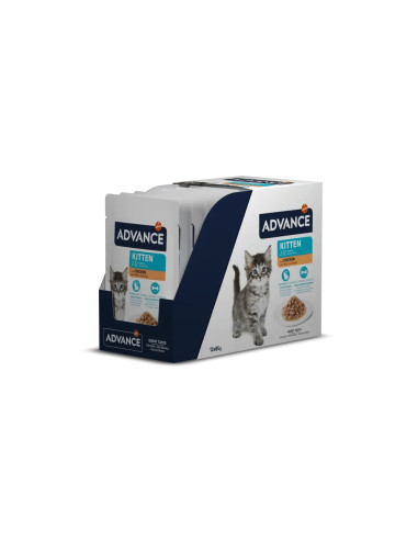 Advance Gato Húmidos Kitten com frango