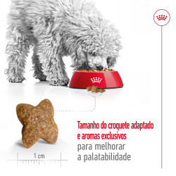 Royal Canin Mini, Cão, Seco, Adulto, Alimento/Ração 2