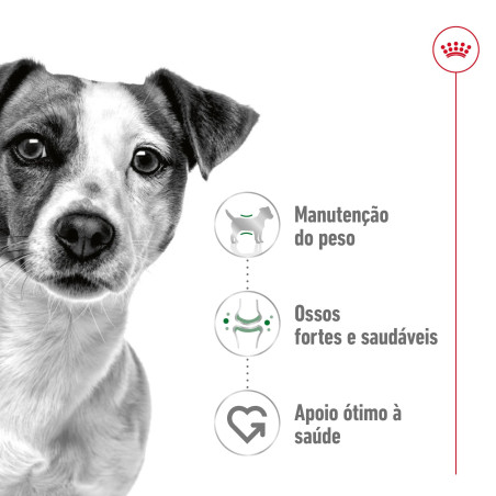 Royal Canin Mini, Cão, Seco, Adulto, Alimento/Ração