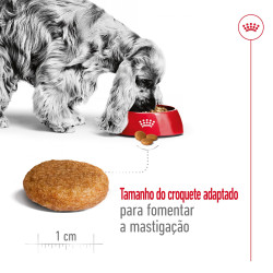 Royal Canin Medium Adult 4kg 2