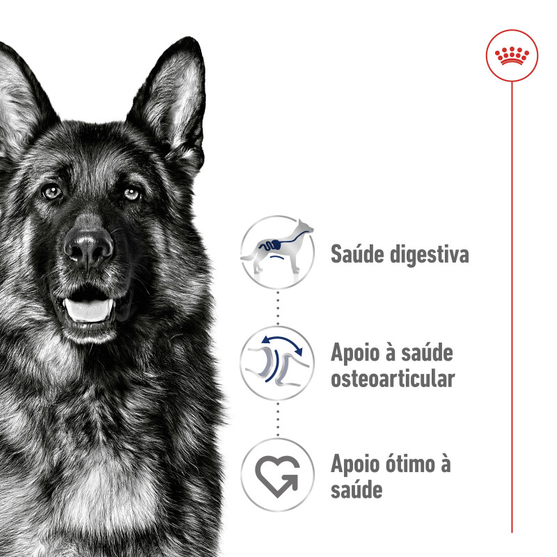Royal Canin Maxi Adult 4kg