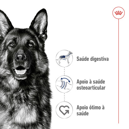 Royal Canin Maxi Adult 4kg