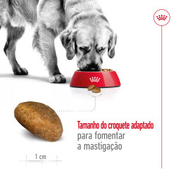 Royal Canin Maxi Adult 4kg 2