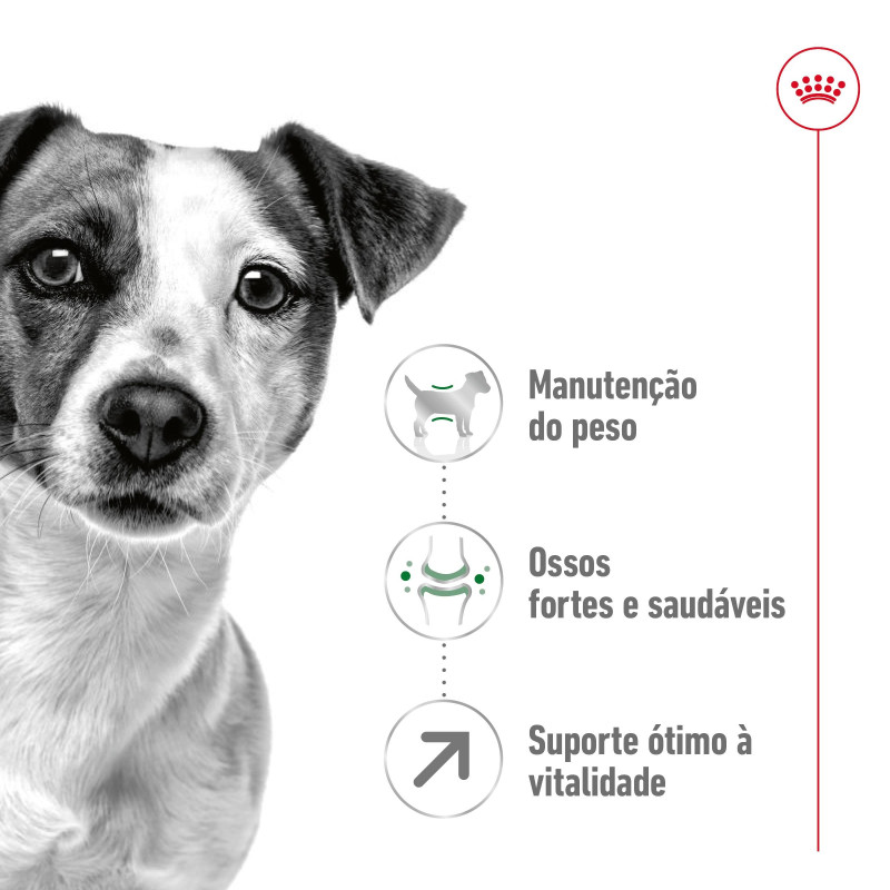 Royal Canin Mini Adult 8+ 800g