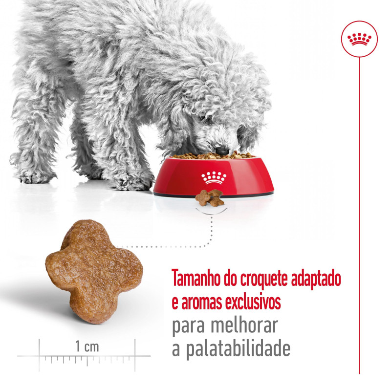 Royal Canin Mini Adult 8+ 800g