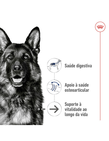 Royal Canin Maxi Ageing 8+, Cão, Húmidos, Sénior, Alimento