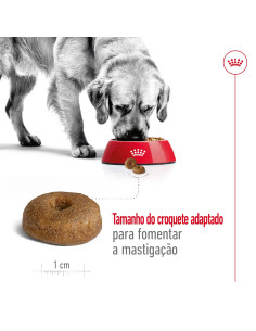 Royal Canin Maxi Ageing 8+, Cão, Húmidos, Sénior, Alimento 2