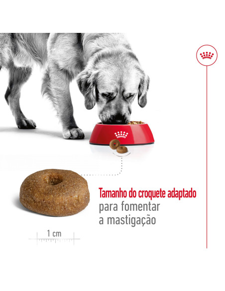 Royal Canin Maxi Ageing 8+, Cão, Húmidos, Sénior, Alimento