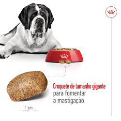 Royal Canin Giant Adult, Cão, Seco, Adulto, Alimento/Ração 2