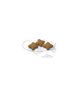 Royal Canin X-small, Cão, Seco, Adulto Sterilised, Alimento/Ração 2