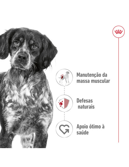 Royal Canin Medium Adult  15Kg