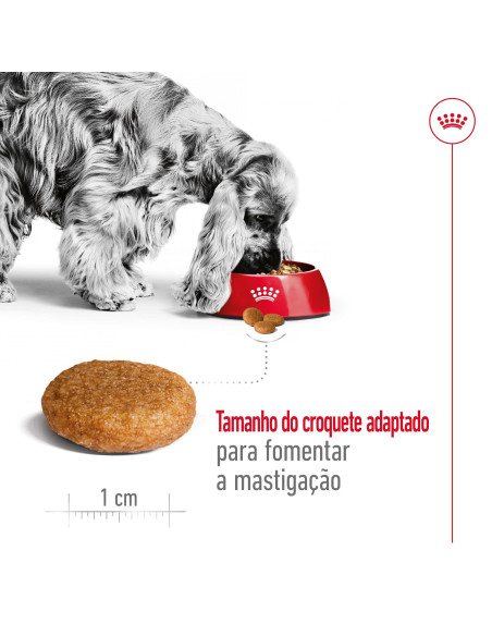 Royal Canin Medium Adult  15Kg