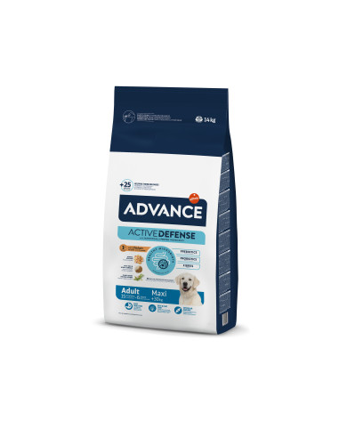 Advance Cão Maxi Adult 14Kg