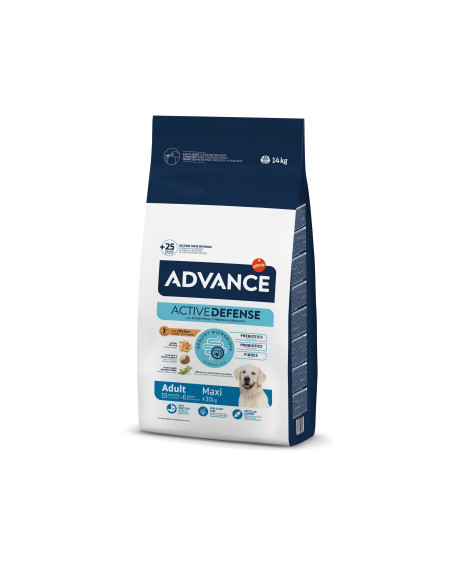 Advance Cão Maxi Adult 14Kg