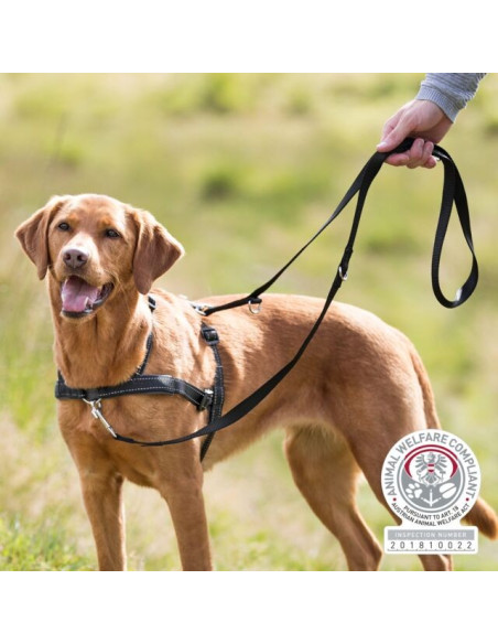 Trixie Peitoral de Treino "Lead'n'walk soft" 45-70cm/25mm (preto)