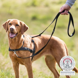 Trixie Peitoral de Treino "Lead'n'walk soft" 45-70cm/25mm (preto) 2
