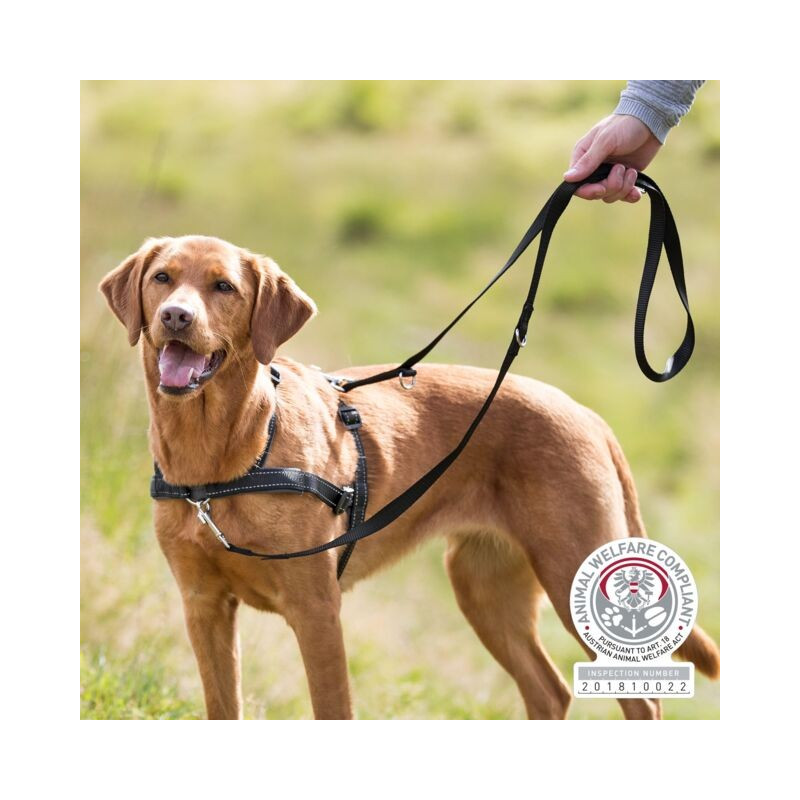 Trixie Peitoral de Treino "Lead'n'walk soft" 45-70cm/25mm (preto)