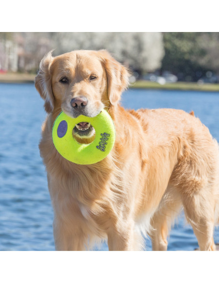 Brinquedo Kong AirDog Donut c/ Som - L