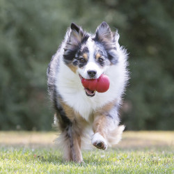 Brinquedo Kong Original - Small + 9kg 2