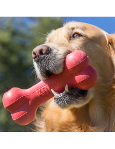 Brinquedo Kong Goodie Bone -  Medium 7-16kg (10011E) 2
