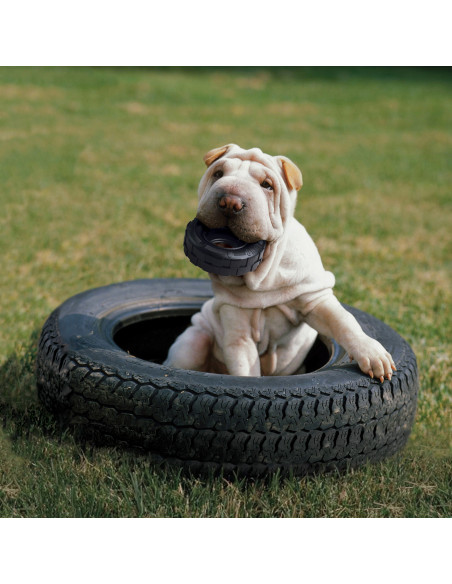 Brinquedo Kong Extreme Tyres -Medium/Large - dos 13 aos 30 kg (KT11E)