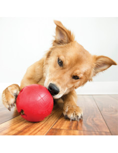 Brinquedo Kong Bola Biscoitos - Small (+ 9 kg) 2