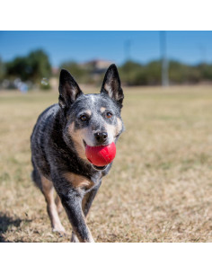 Brinquedo Kong Ball - Medium/Large 13-30kg 2