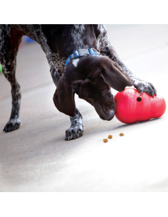 Brinquedo Kong Dispensador Guloseimas Wobbler Tamanho - L  (20 cm) 2