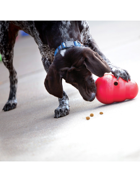 Brinquedo Kong Dispensador Guloseimas Wobbler Tamanho - L  (20 cm)